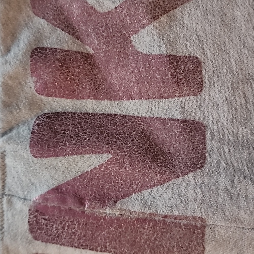 Y2K Recycle Graphic Gray and Metalic Pink VS Shorts. Size: S - Picture 9 of 10